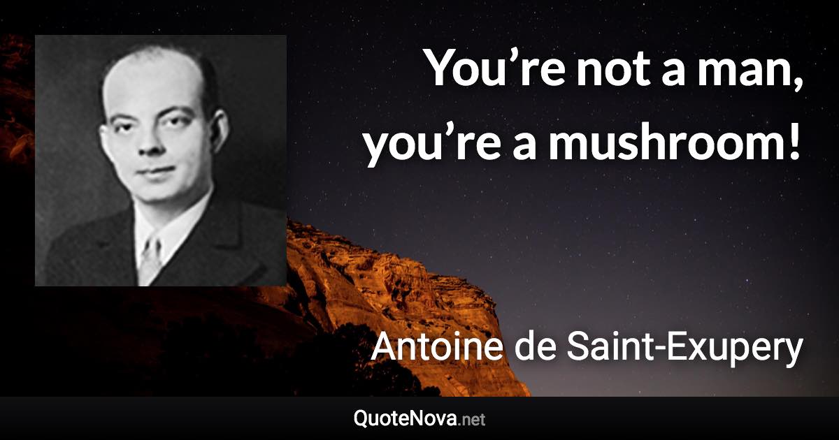 You’re not a man, you’re a mushroom! - Antoine de Saint-Exupery quote