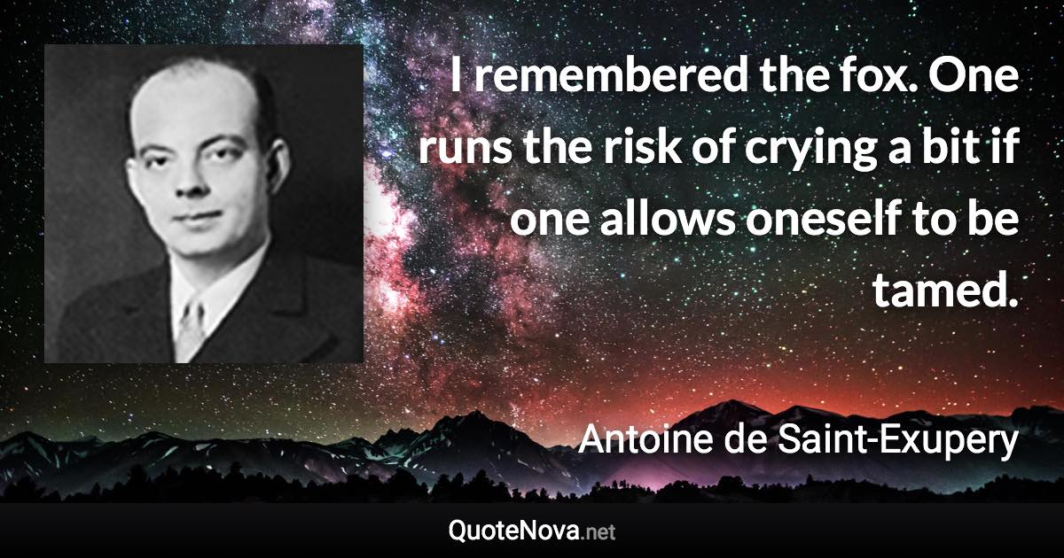 I remembered the fox. One runs the risk of crying a bit if one allows oneself to be tamed. - Antoine de Saint-Exupery quote