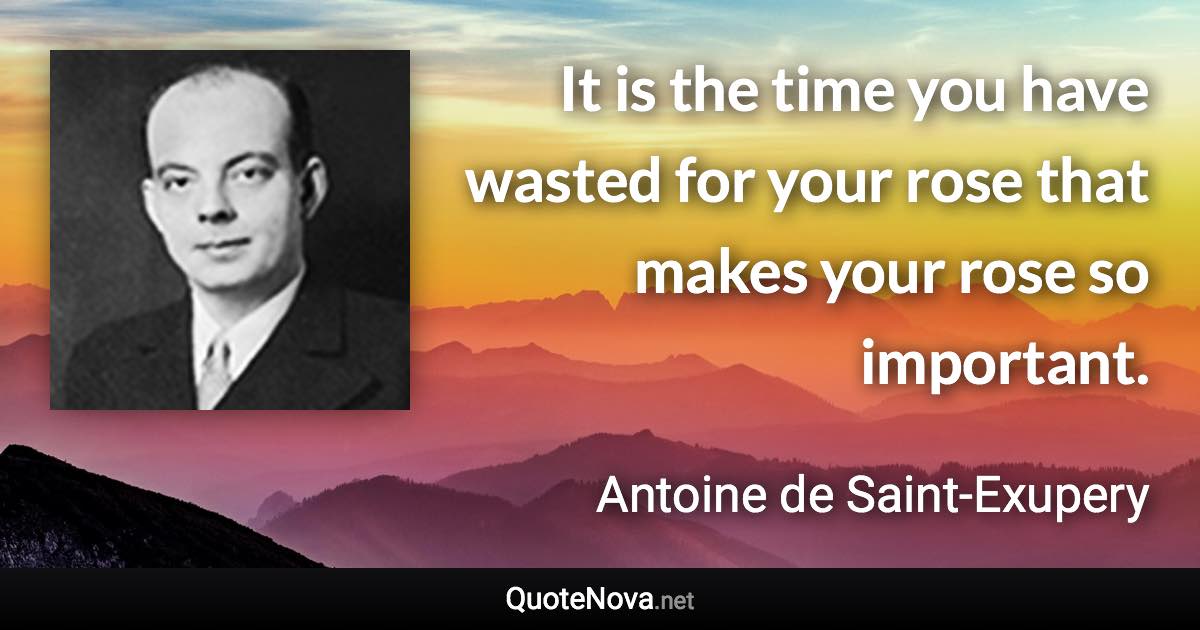 It is the time you have wasted for your rose that makes your rose so important. - Antoine de Saint-Exupery quote