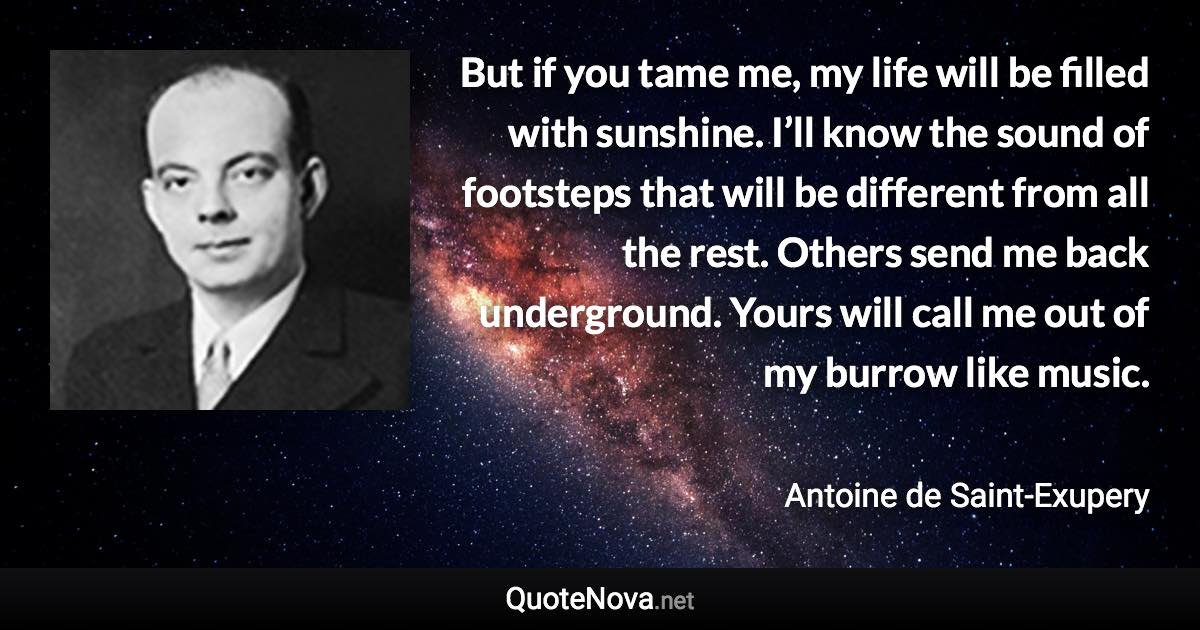 But if you tame me, my life will be filled with sunshine. I’ll know the sound of footsteps that will be different from all the rest. Others send me back underground. Yours will call me out of my burrow like music. - Antoine de Saint-Exupery quote