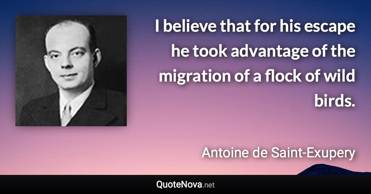 I believe that for his escape he took advantage of the migration of a flock of wild birds. - Antoine de Saint-Exupery quote