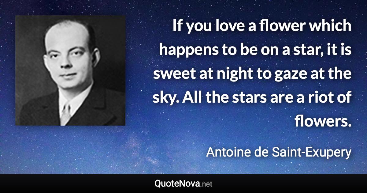 If you love a flower which happens to be on a star, it is sweet at night to gaze at the sky. All the stars are a riot of flowers. - Antoine de Saint-Exupery quote