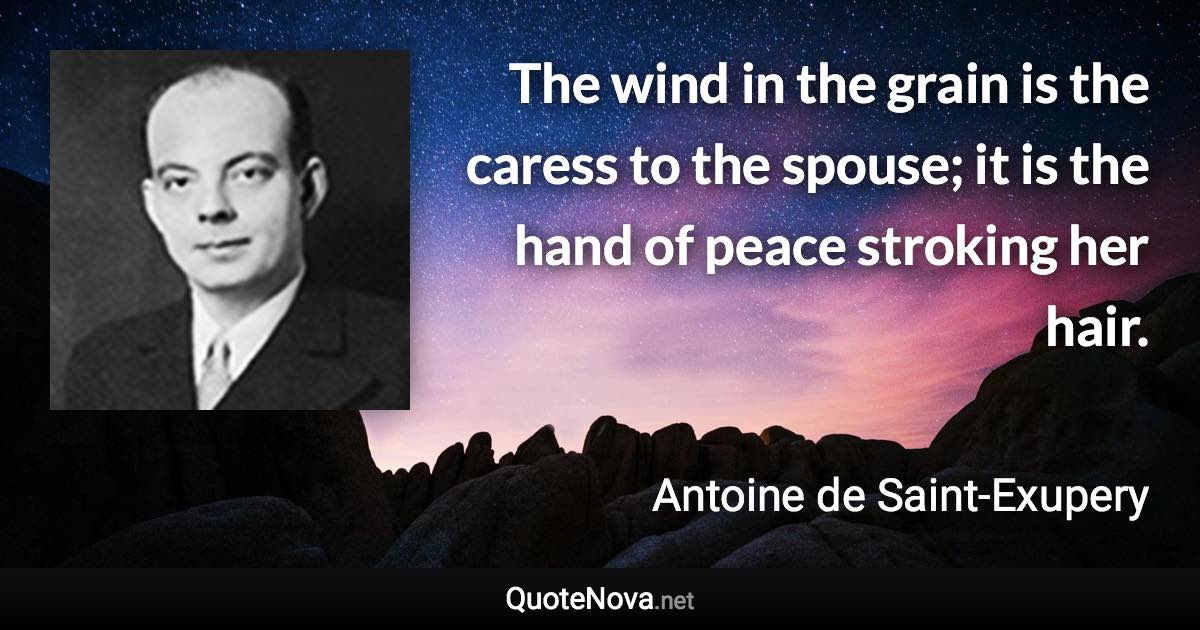 The wind in the grain is the caress to the spouse; it is the hand of peace stroking her hair. - Antoine de Saint-Exupery quote