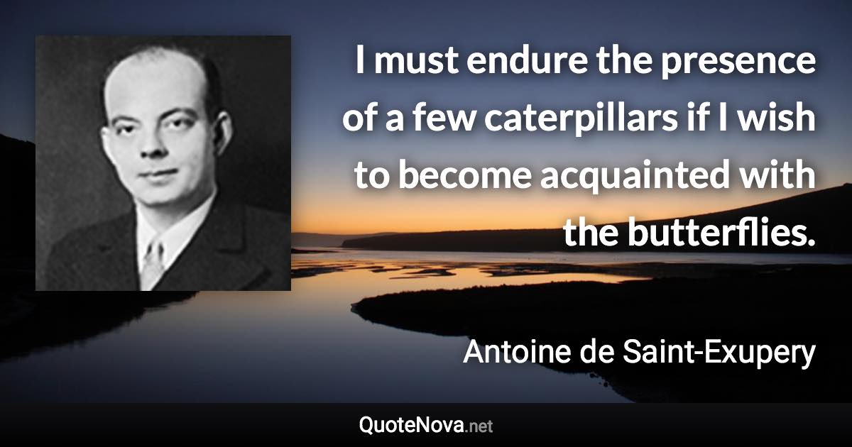 I must endure the presence of a few caterpillars if I wish to become acquainted with the butterflies. - Antoine de Saint-Exupery quote
