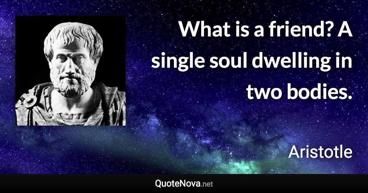 What is a friend? A single soul dwelling in two bodies. - Aristotle quote