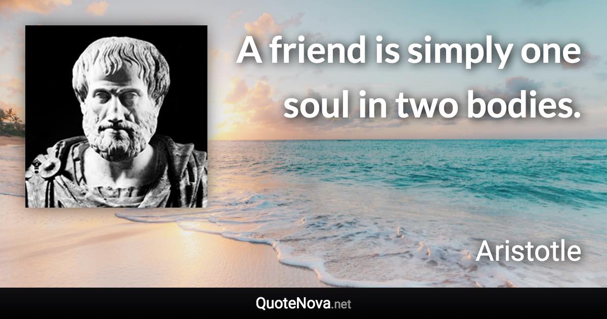 A friend is simply one soul in two bodies. - Aristotle quote