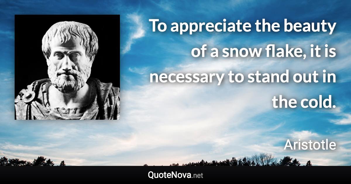 To appreciate the beauty of a snow flake, it is necessary to stand out in the cold. - Aristotle quote