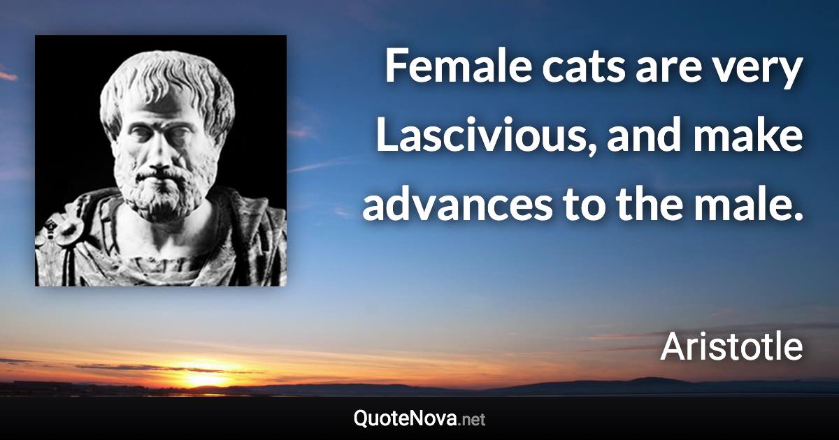 Female cats are very Lascivious, and make advances to the male. - Aristotle quote