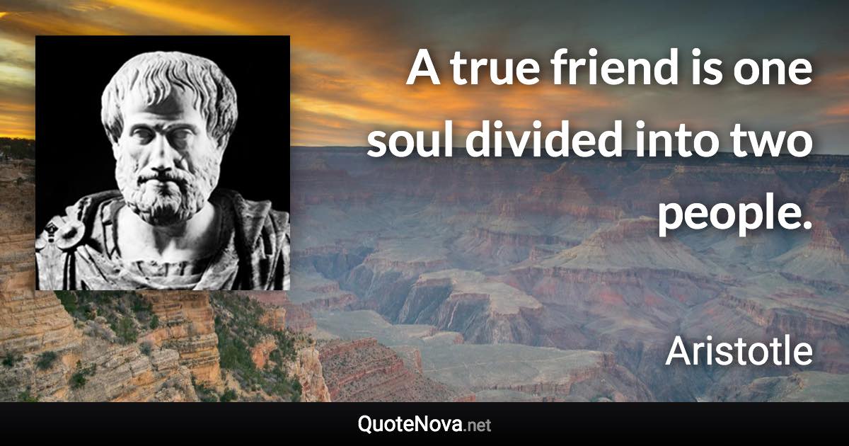 A true friend is one soul divided into two people. - Aristotle quote