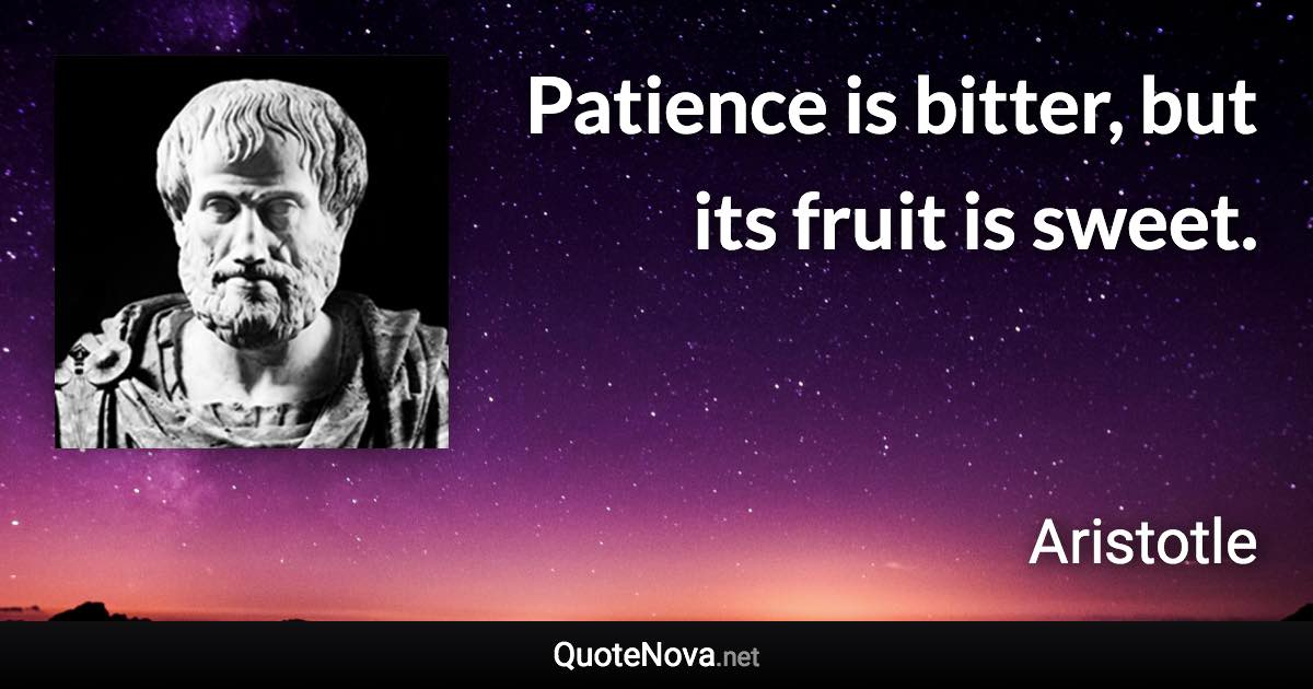 Patience is bitter, but its fruit is sweet. - Aristotle quote