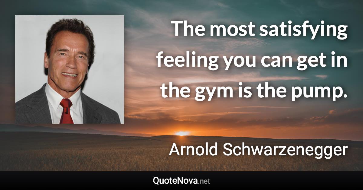 The most satisfying feeling you can get in the gym is the pump. - Arnold Schwarzenegger quote