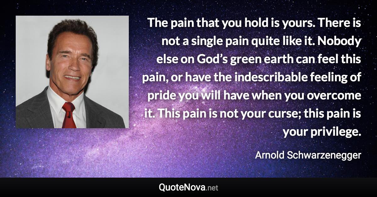 The pain that you hold is yours. There is not a single pain quite like it. Nobody else on God’s green earth can feel this pain, or have the indescribable feeling of pride you will have when you overcome it. This pain is not your curse; this pain is your privilege. - Arnold Schwarzenegger quote