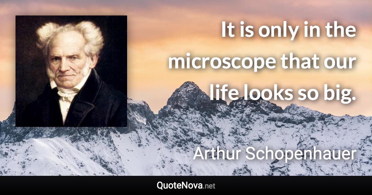 It is only in the microscope that our life looks so big. - Arthur Schopenhauer quote