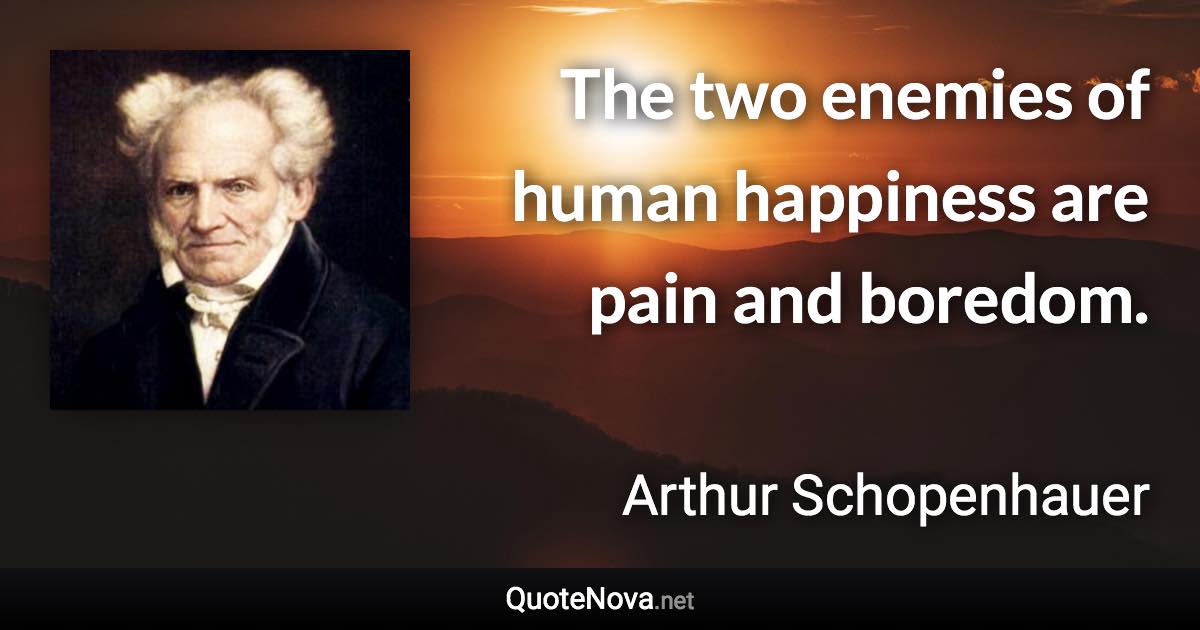 The two enemies of human happiness are pain and boredom. - Arthur Schopenhauer quote