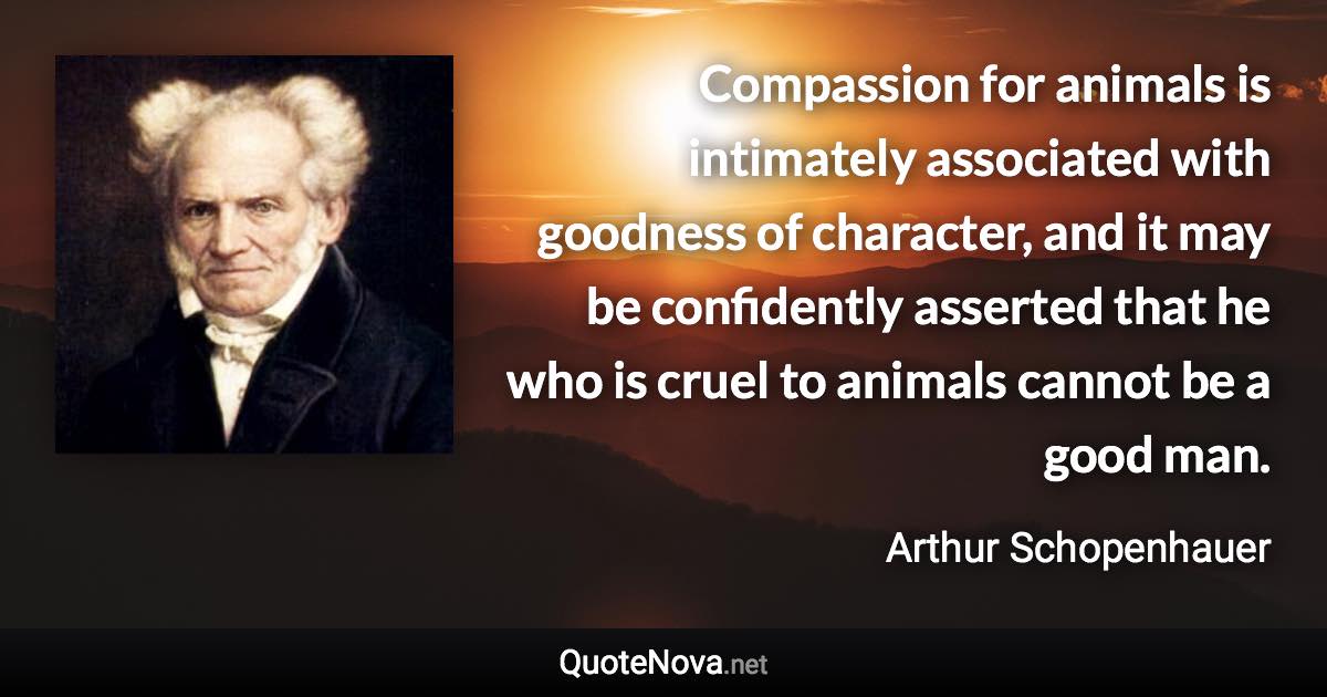 Compassion for animals is intimately associated with goodness of character, and it may be confidently asserted that he who is cruel to animals cannot be a good man. - Arthur Schopenhauer quote