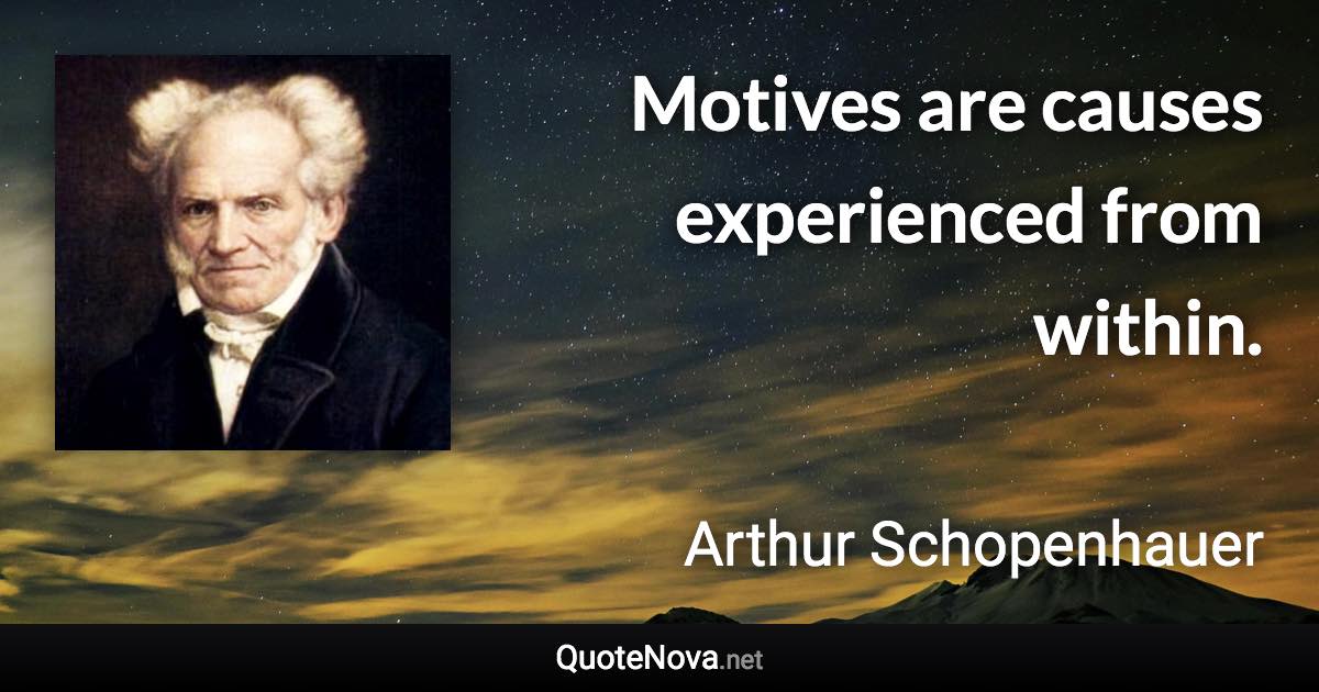 Motives are causes experienced from within. - Arthur Schopenhauer quote