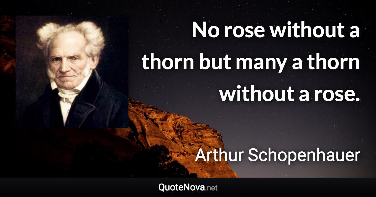 No rose without a thorn but many a thorn without a rose. - Arthur Schopenhauer quote