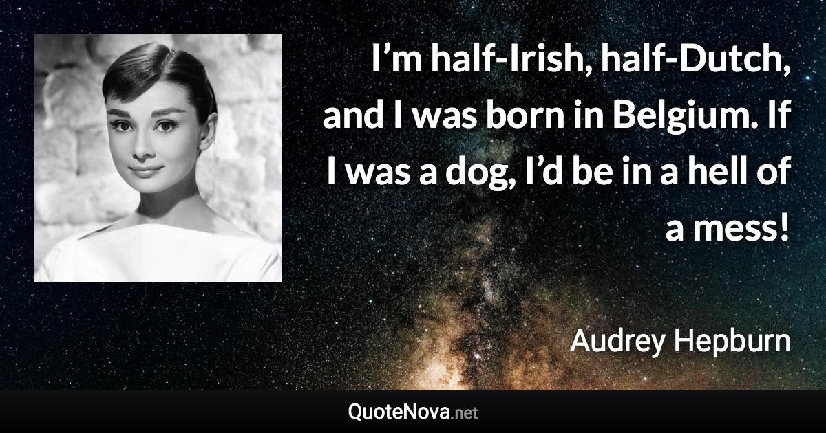 I’m half-Irish, half-Dutch, and I was born in Belgium. If I was a dog, I’d be in a hell of a mess! - Audrey Hepburn quote