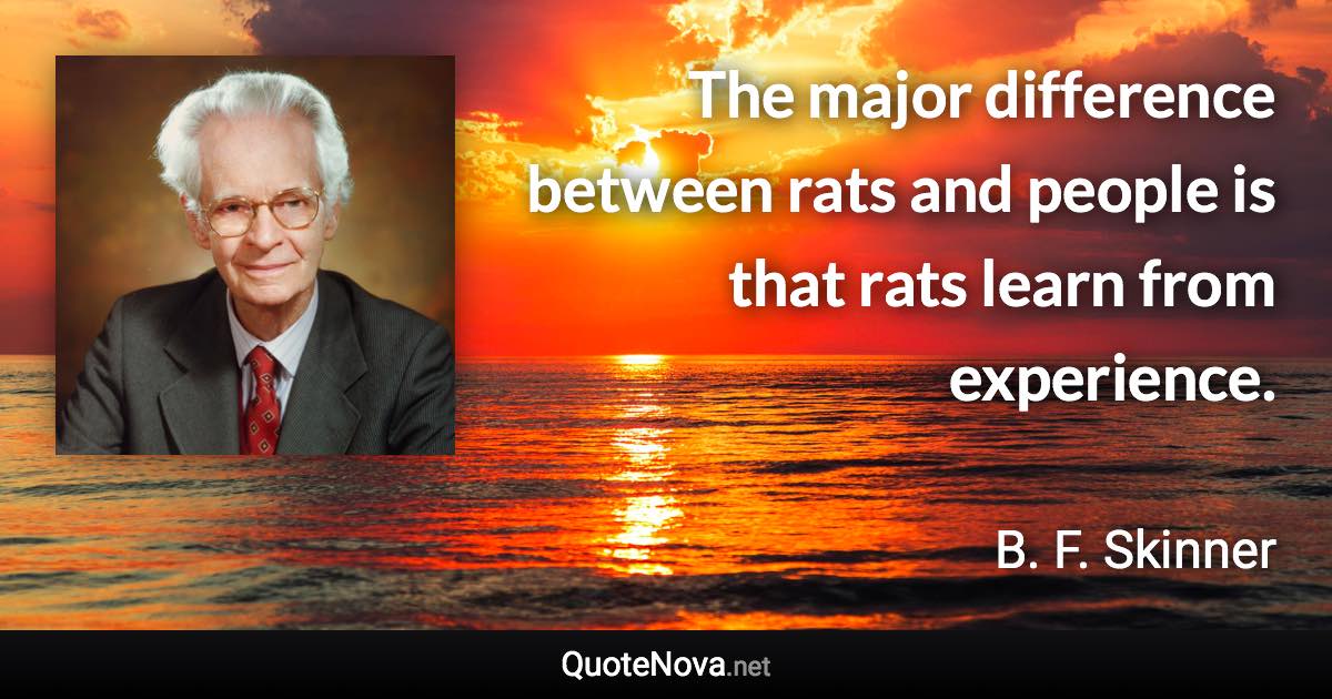 The major difference between rats and people is that rats learn from experience. - B. F. Skinner quote