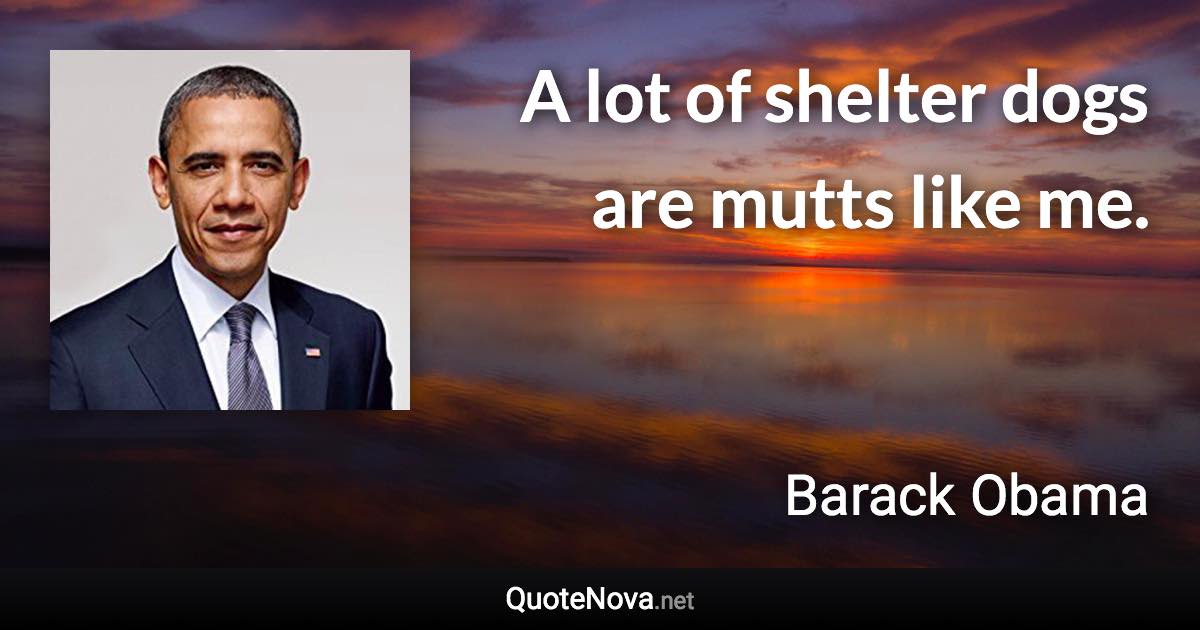 A lot of shelter dogs are mutts like me. - Barack Obama quote