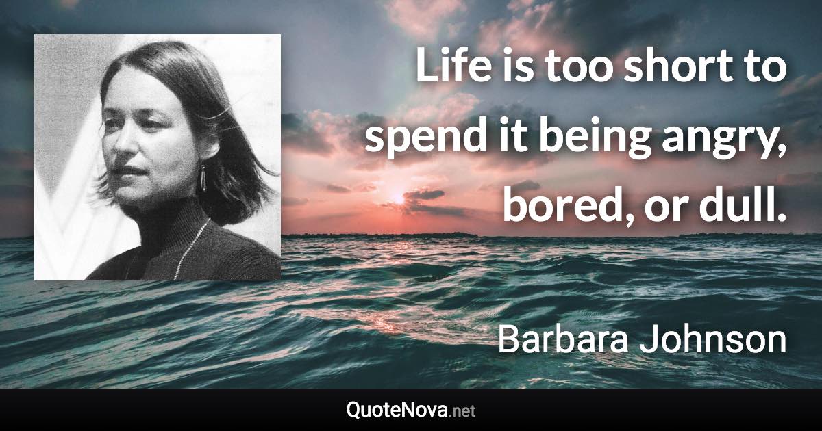 Life is too short to spend it being angry, bored, or dull. - Barbara Johnson quote