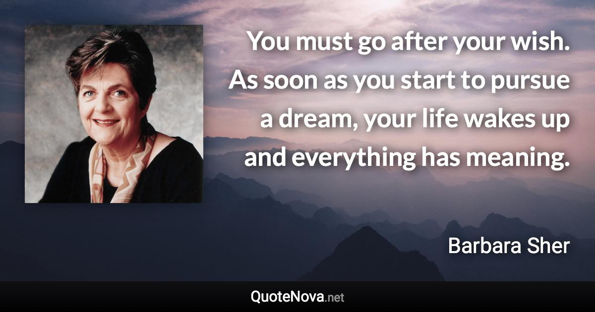 You must go after your wish. As soon as you start to pursue a dream, your life wakes up and everything has meaning. - Barbara Sher quote