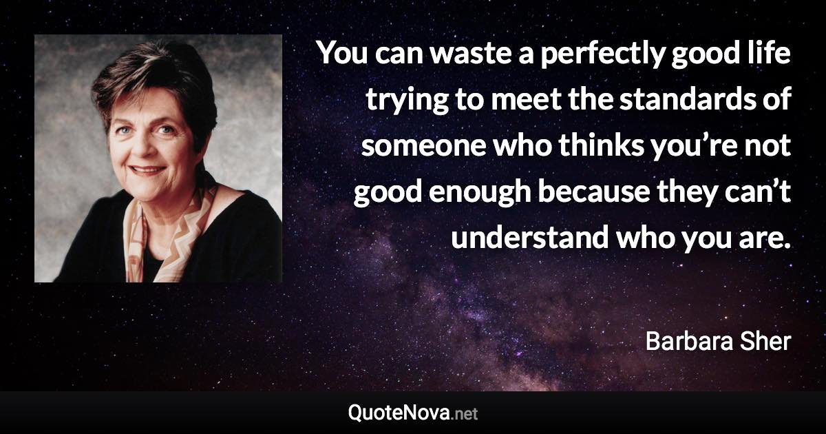 You can waste a perfectly good life trying to meet the standards of someone who thinks you’re not good enough because they can’t understand who you are. - Barbara Sher quote