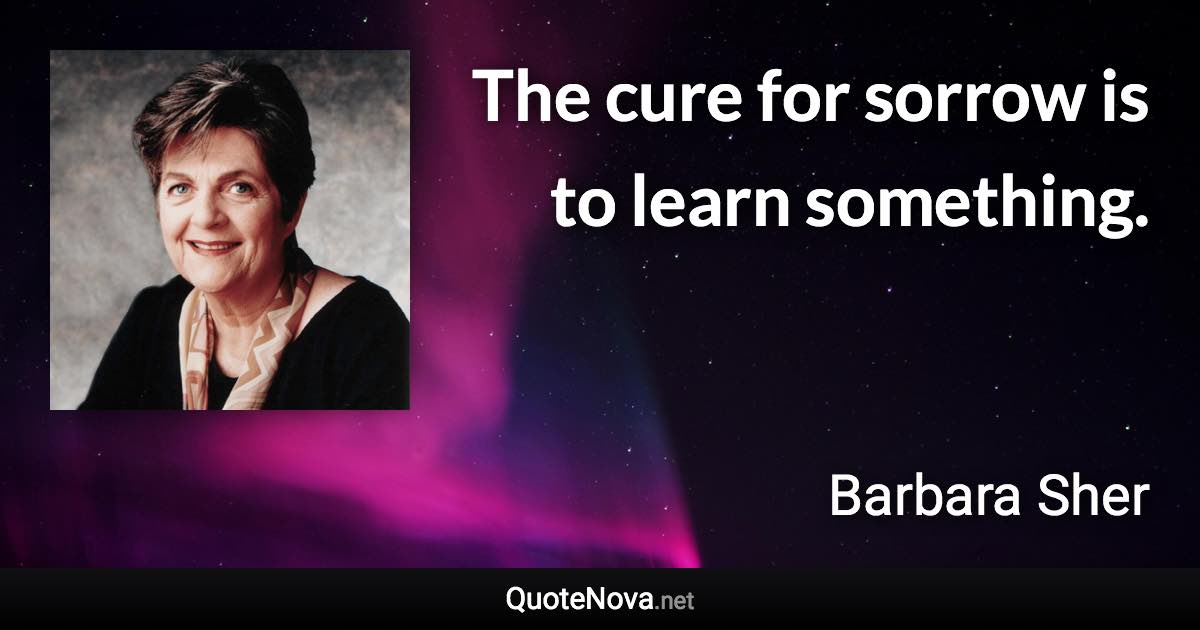 The cure for sorrow is to learn something. - Barbara Sher quote