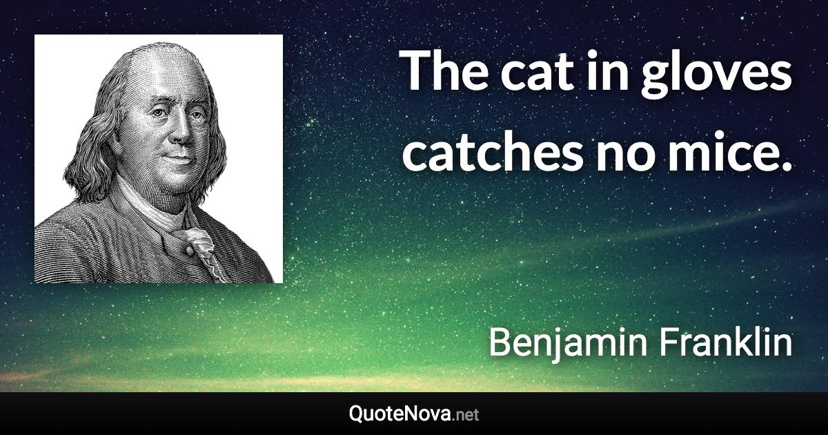 The cat in gloves catches no mice. - Benjamin Franklin quote