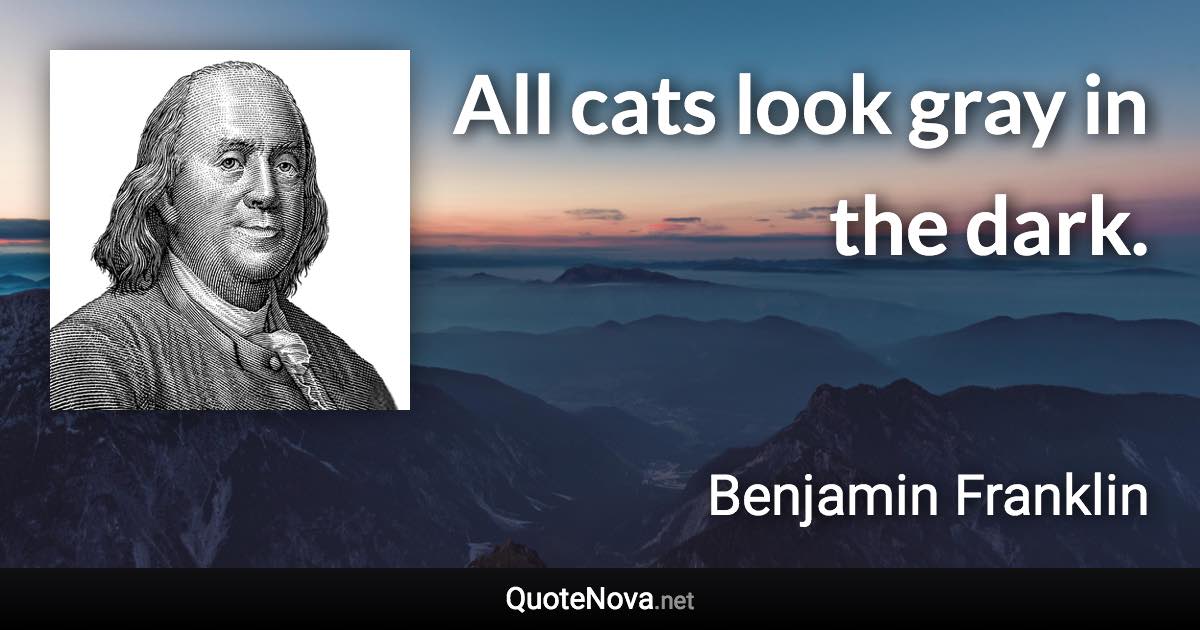 All cats look gray in the dark. - Benjamin Franklin quote