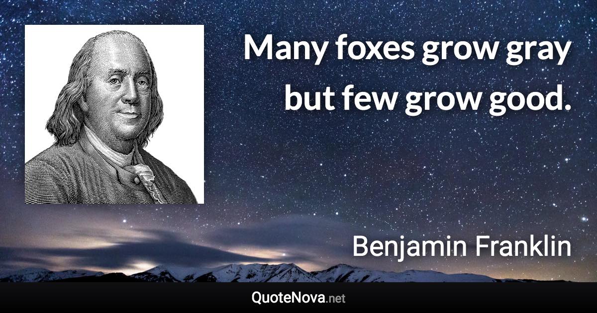 Many foxes grow gray but few grow good. - Benjamin Franklin quote