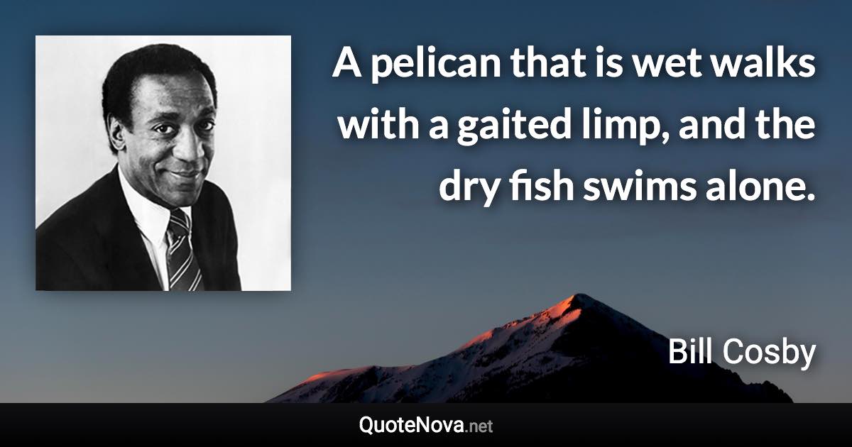 A pelican that is wet walks with a gaited limp, and the dry fish swims alone. - Bill Cosby quote