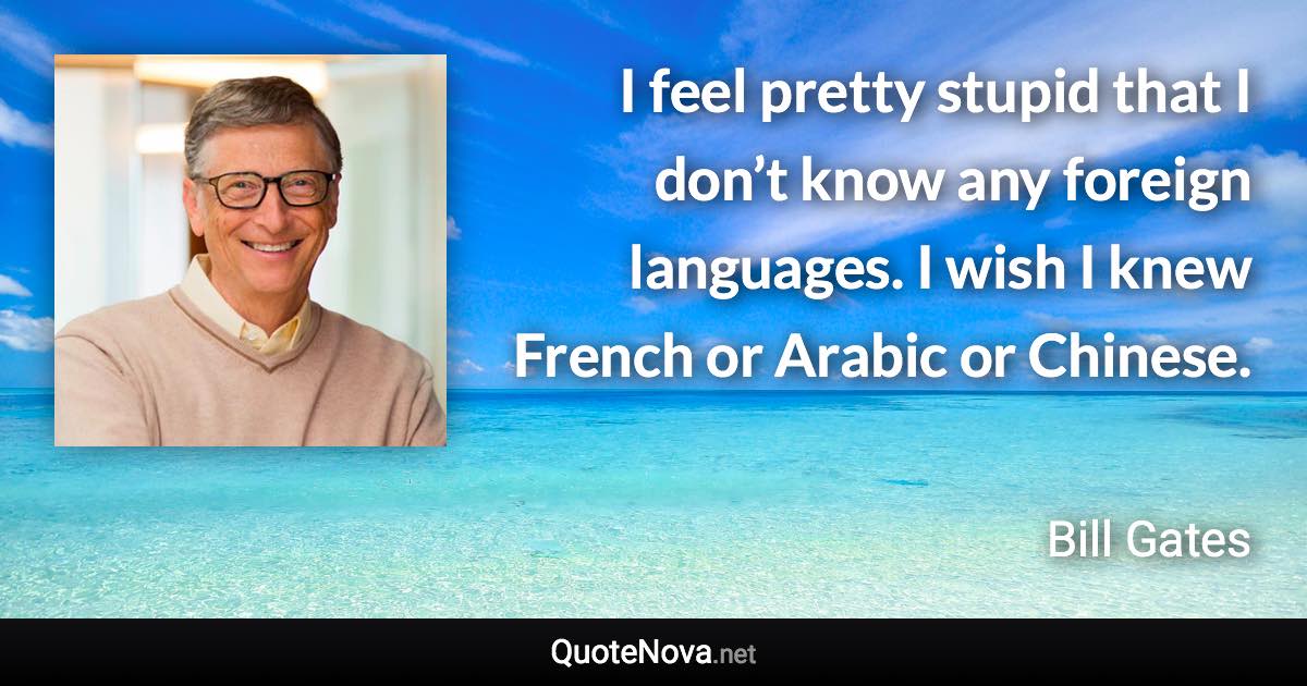 I feel pretty stupid that I don’t know any foreign languages. I wish I knew French or Arabic or Chinese. - Bill Gates quote