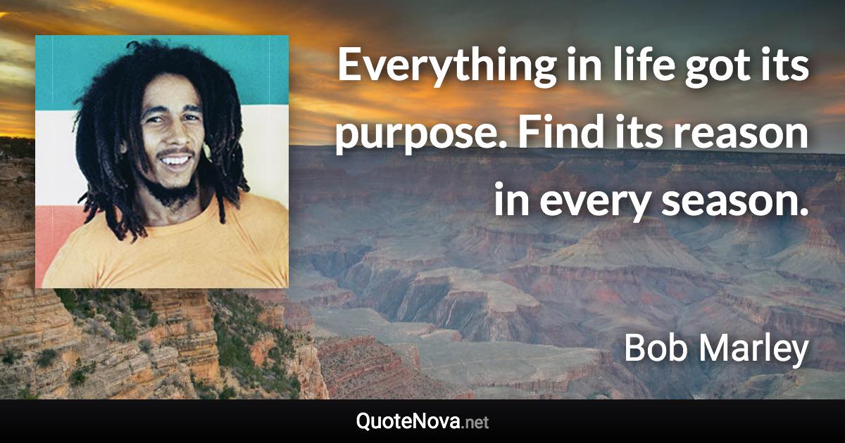 Everything in life got its purpose. Find its reason in every season. - Bob Marley quote