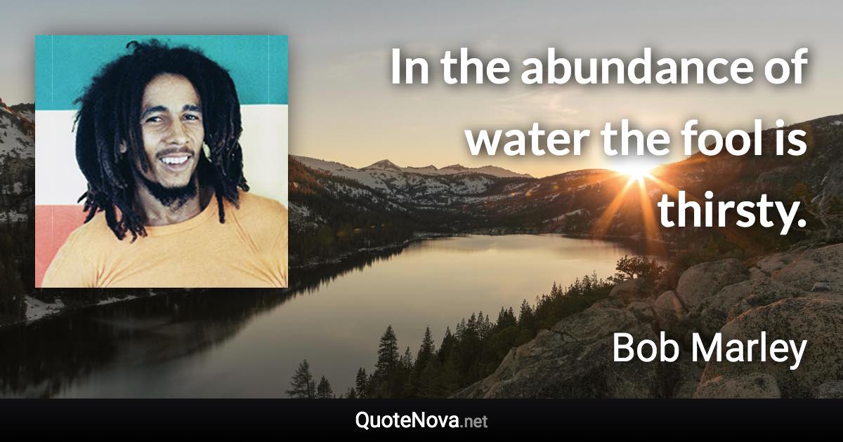 In the abundance of water the fool is thirsty. - Bob Marley quote