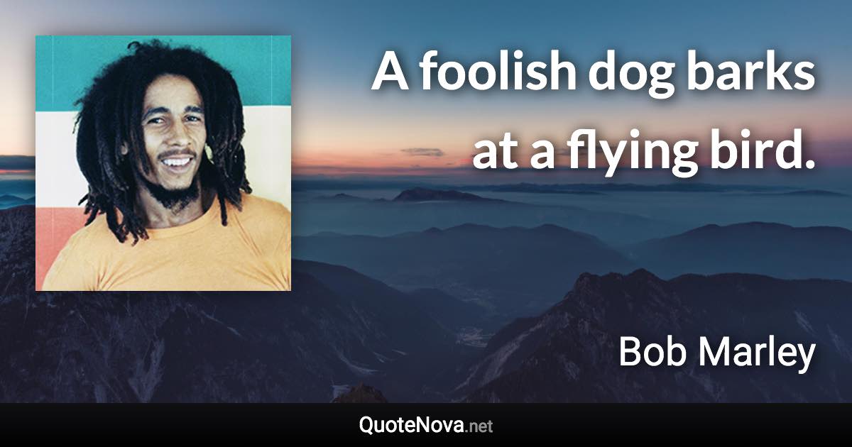 A foolish dog barks at a flying bird. - Bob Marley quote