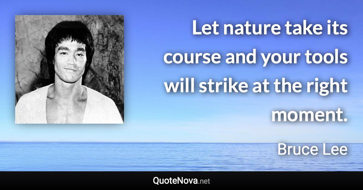 Let nature take its course and your tools will strike at the right moment. - Bruce Lee quote