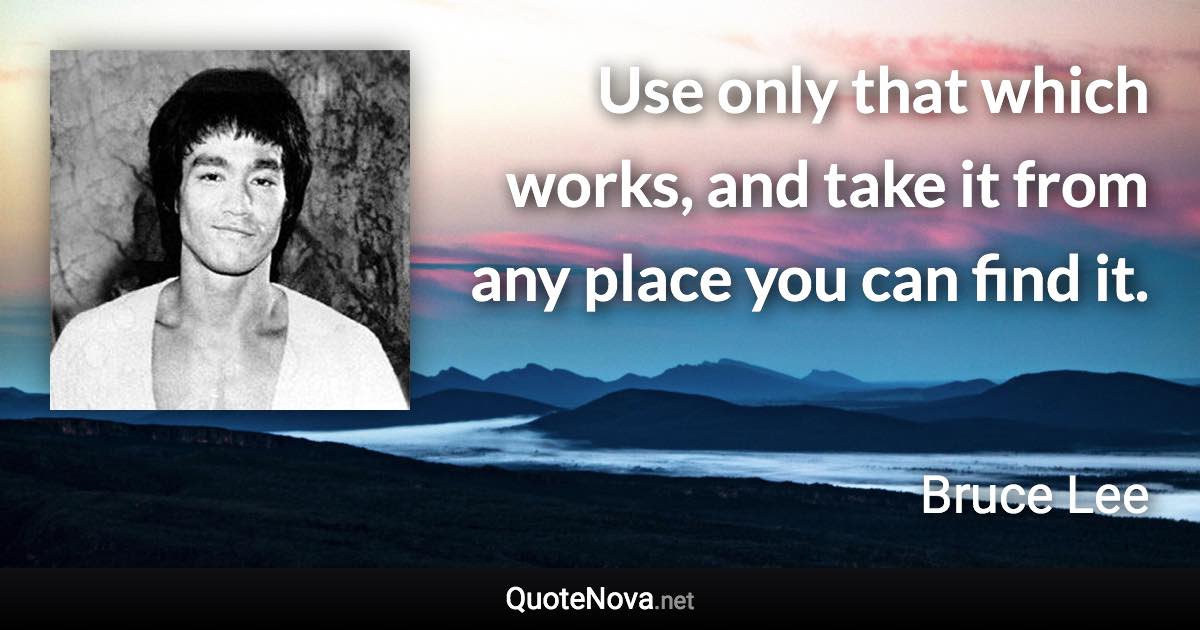 Use only that which works, and take it from any place you can find it. - Bruce Lee quote