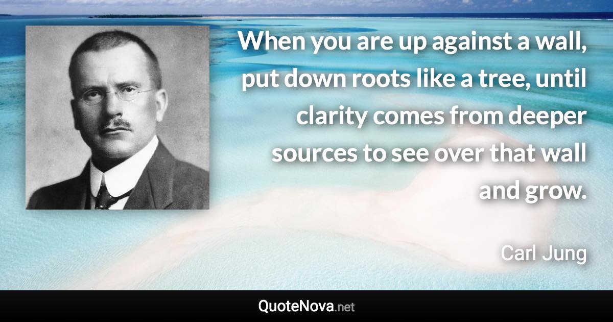 When you are up against a wall, put down roots like a tree, until clarity comes from deeper sources to see over that wall and grow. - Carl Jung quote