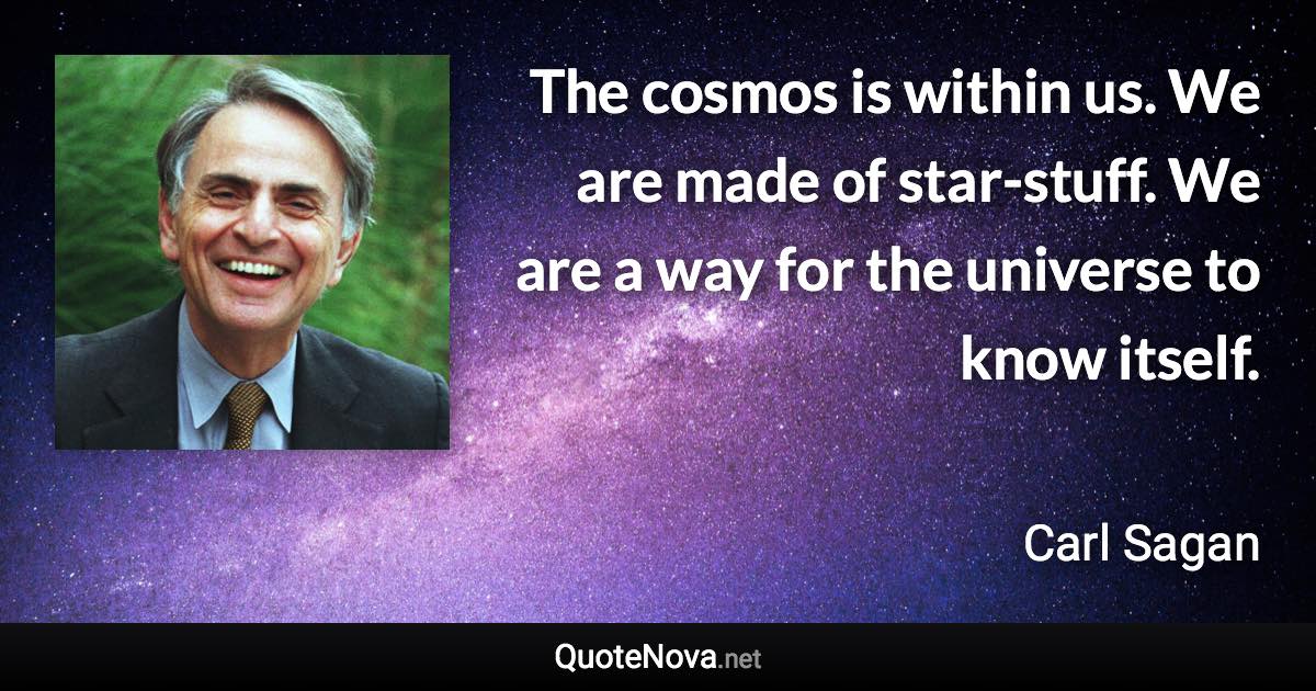 The cosmos is within us. We are made of star-stuff. We are a way for the universe to know itself. - Carl Sagan quote