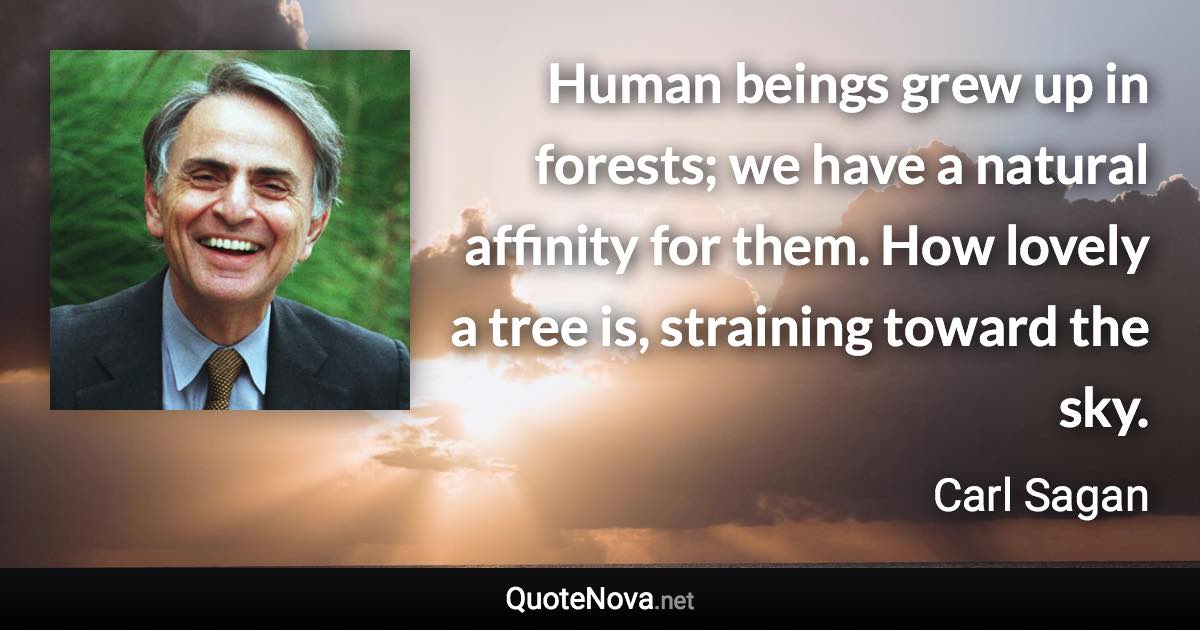 Human beings grew up in forests; we have a natural affinity for them. How lovely a tree is, straining toward the sky. - Carl Sagan quote