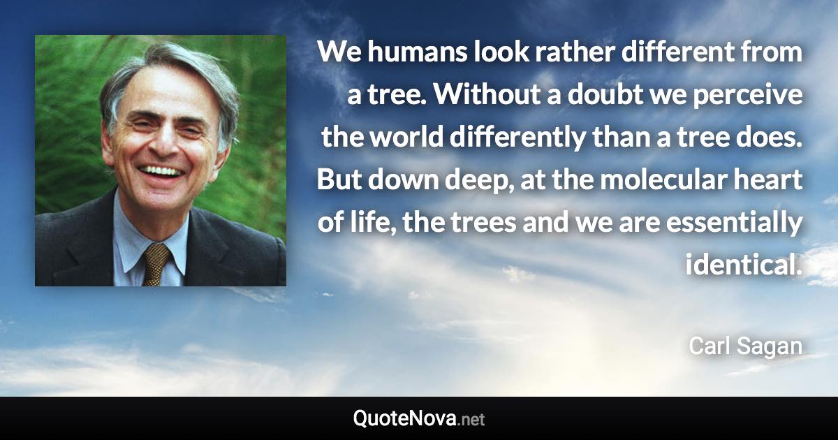 We humans look rather different from a tree. Without a doubt we perceive the world differently than a tree does. But down deep, at the molecular heart of life, the trees and we are essentially identical. - Carl Sagan quote