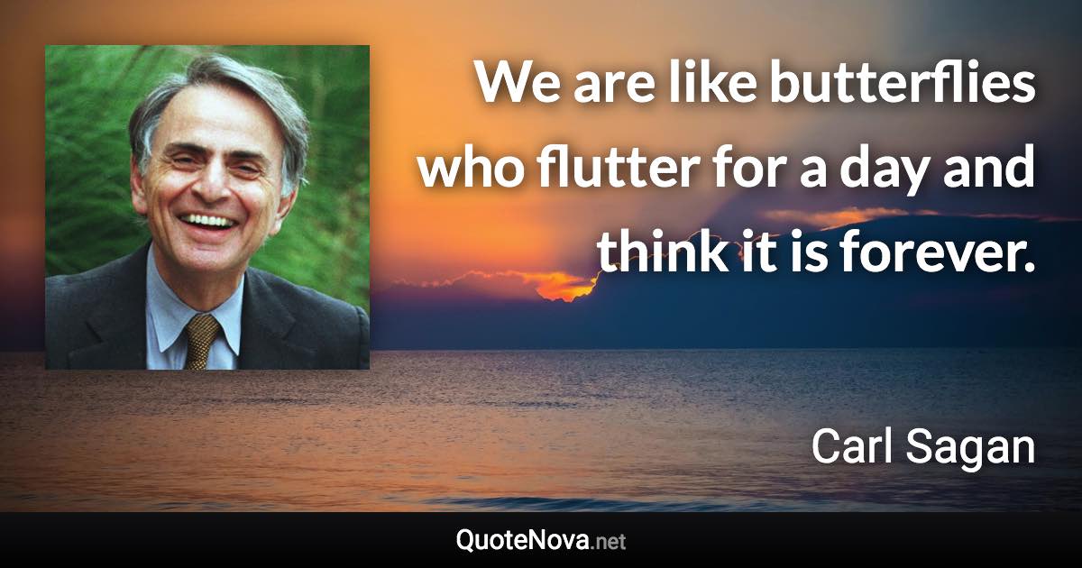 We are like butterflies who flutter for a day and think it is forever. - Carl Sagan quote