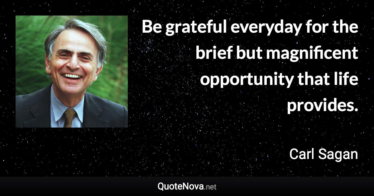 Be grateful everyday for the brief but magnificent opportunity that life provides. - Carl Sagan quote