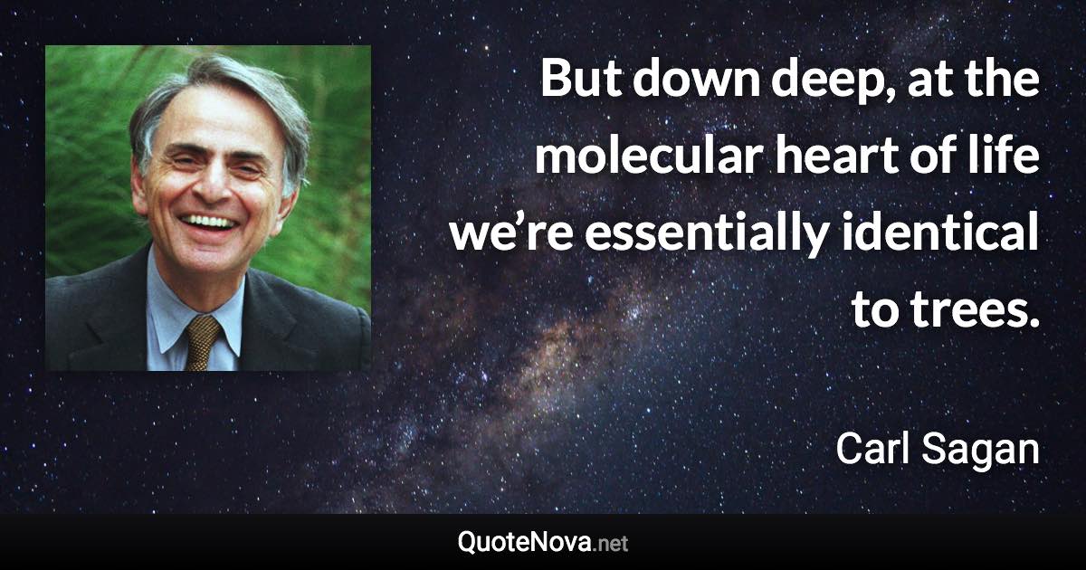 But down deep, at the molecular heart of life we’re essentially identical to trees. - Carl Sagan quote