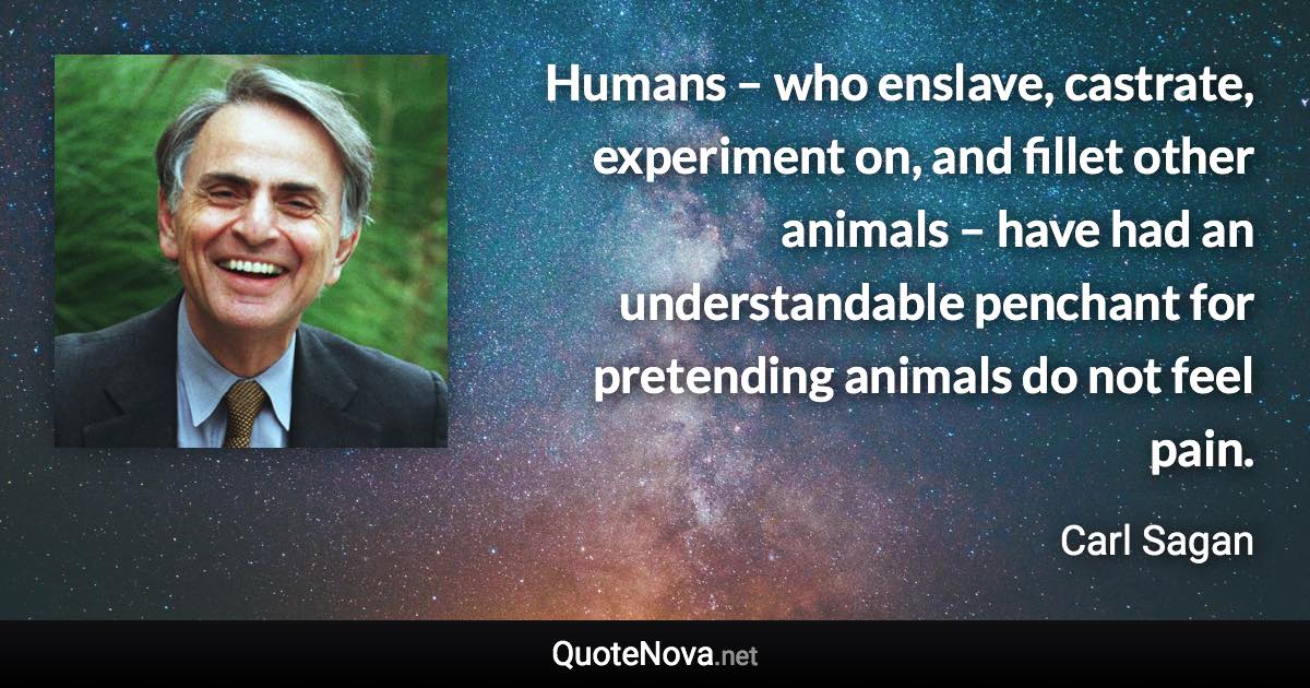 Humans – who enslave, castrate, experiment on, and fillet other animals – have had an understandable penchant for pretending animals do not feel pain. - Carl Sagan quote