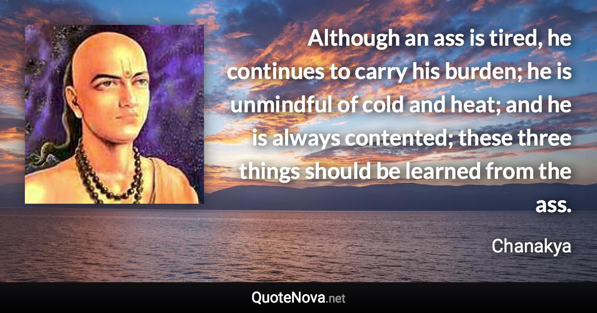 Although an ass is tired, he continues to carry his burden; he is unmindful of cold and heat; and he is always contented; these three things should be learned from the ass. - Chanakya quote