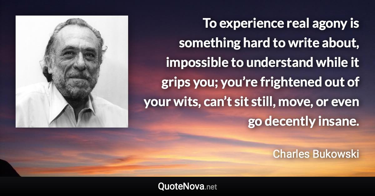 To experience real agony is something hard to write about, impossible to understand while it grips you; you’re frightened out of your wits, can’t sit still, move, or even go decently insane. - Charles Bukowski quote