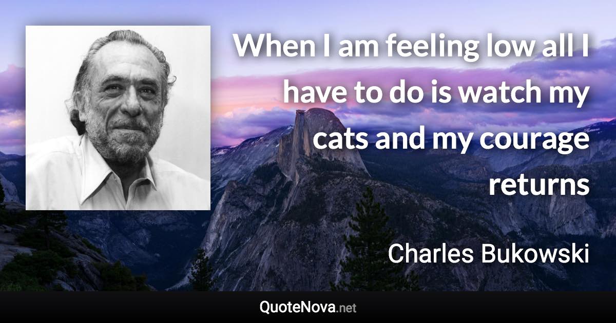 When I am feeling low all I have to do is watch my cats and my courage returns - Charles Bukowski quote