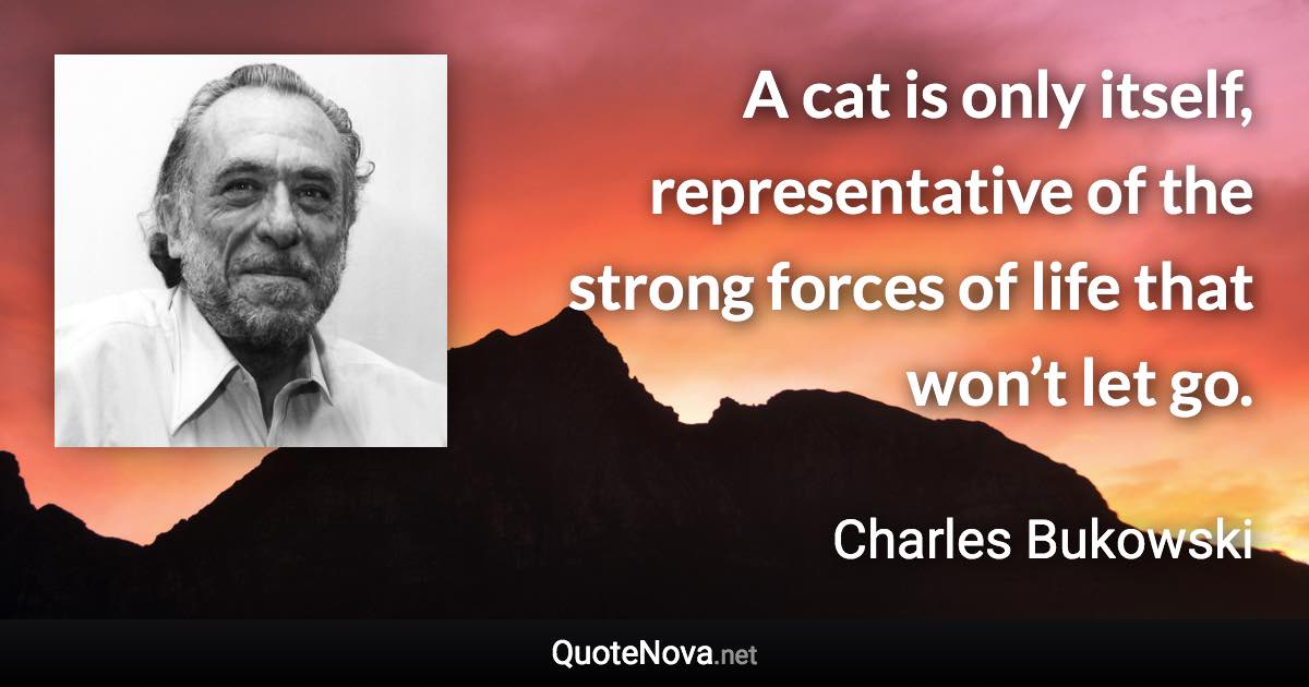 A cat is only itself, representative of the strong forces of life that won’t let go. - Charles Bukowski quote